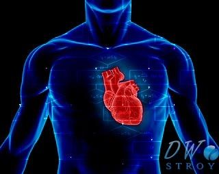 Создан алгоритм, способный предсказать остановку сердца